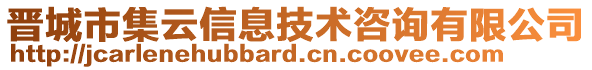 晉城市集云信息技術(shù)咨詢有限公司