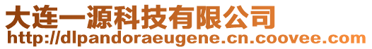 大連一源科技有限公司