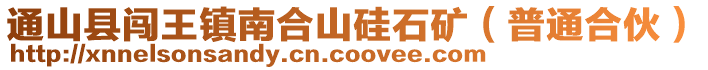 通山縣闖王鎮(zhèn)南合山硅石礦(普通合伙)