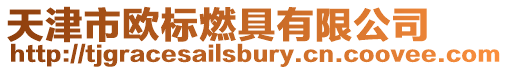 天津市歐標燃具有限公司