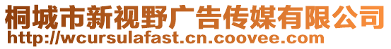 桐城市新視野廣告?zhèn)髅接邢薰? style=