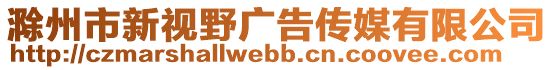 滁州市新視野廣告?zhèn)髅接邢薰? style=