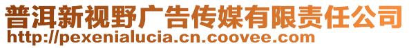 普洱新視野廣告?zhèn)髅接邢挢?zé)任公司