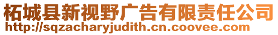 柘城縣新視野廣告有限責任公司