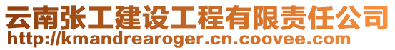 云南張工建設工程有限責任公司