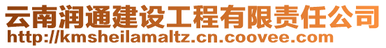 云南潤通建設(shè)工程有限責(zé)任公司