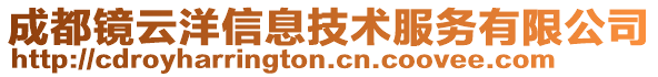 成都鏡云洋信息技術服務有限公司