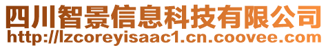 四川智景信息科技有限公司