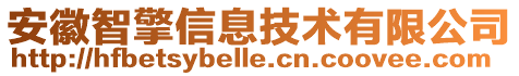 安徽智擎信息技術(shù)有限公司