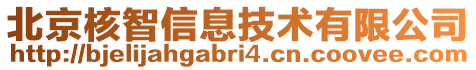 北京核智信息技術(shù)有限公司