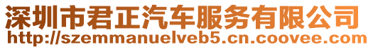 深圳市君正汽車服務有限公司