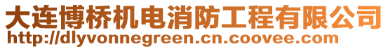 大連博橋機電消防工程有限公司