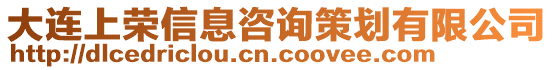 大連上榮信息咨詢策劃有限公司