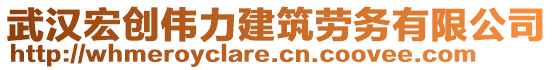 武漢宏創(chuàng)偉力建筑勞務有限公司