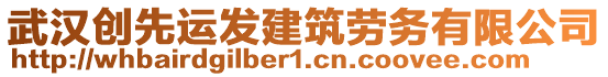 武漢創(chuàng)先運發(fā)建筑勞務有限公司