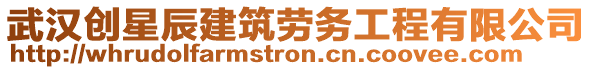 武漢創星辰建筑勞務工程有限公司