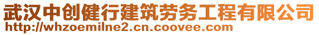 武漢中創(chuàng)健行建筑勞務(wù)工程有限公司