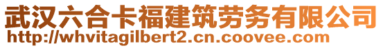 武漢六合卡福建筑勞務(wù)有限公司