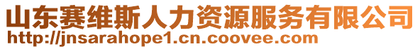 山東賽維斯人力資源服務(wù)有限公司