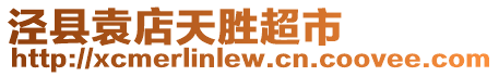 涇縣袁店天勝超市