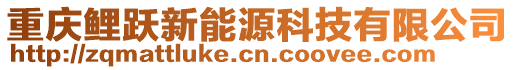 重慶鯉躍新能源科技有限公司