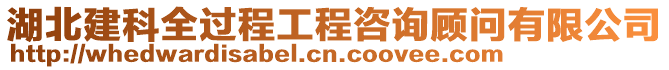 湖北建科全過程工程咨詢顧問有限公司
