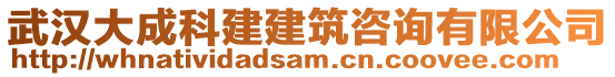 武漢大成科建建筑咨詢有限公司