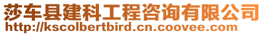 莎車縣建科工程咨詢有限公司