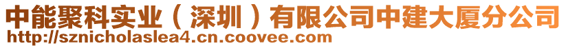中能聚科實業(深圳)有限公司中建大廈分公司