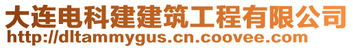 大連電科建建筑工程有限公司