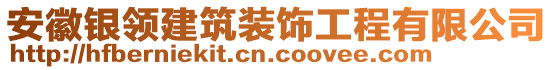 安徽銀領(lǐng)建筑裝飾工程有限公司