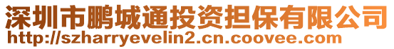 深圳市鵬城通投資擔(dān)保有限公司