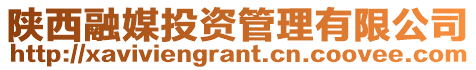 陜西融媒投資管理有限公司