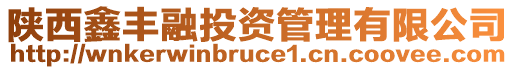 陜西鑫豐融投資管理有限公司