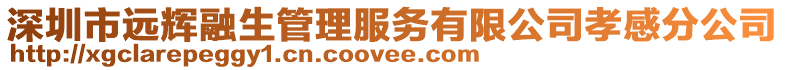 深圳市遠(yuǎn)輝融生管理服務(wù)有限公司孝感分公司