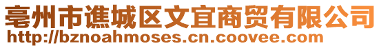 亳州市譙城區文宜商貿有限公司