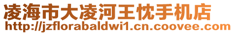 凌海市大凌河王忱手機店