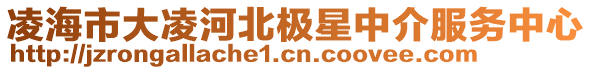 凌海市大凌河北極星中介服務中心