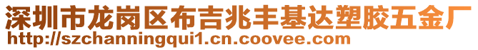 深圳市龍崗區布吉兆豐基達塑膠五金廠