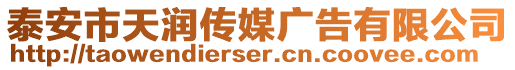 泰安市天潤(rùn)傳媒廣告有限公司