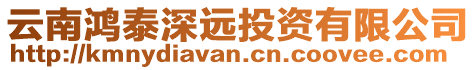 云南鴻泰深遠投資有限公司