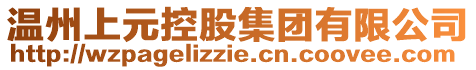 溫州上元控股集團有限公司