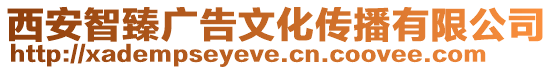 西安智臻廣告文化傳播有限公司