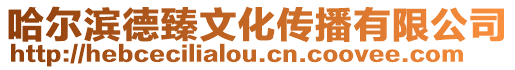 哈爾濱德臻文化傳播有限公司