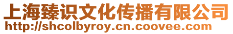 上海臻識文化傳播有限公司