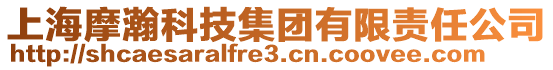 上海摩瀚科技集團(tuán)有限責(zé)任公司