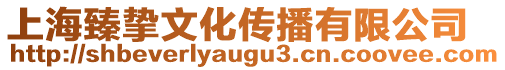 上海臻摯文化傳播有限公司