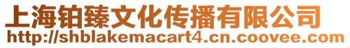 上海鉑臻文化傳播有限公司