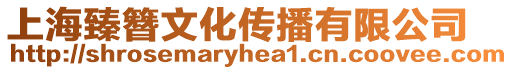 上海臻簪文化傳播有限公司