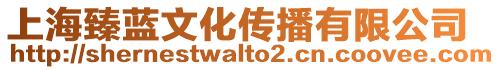 上海臻藍文化傳播有限公司